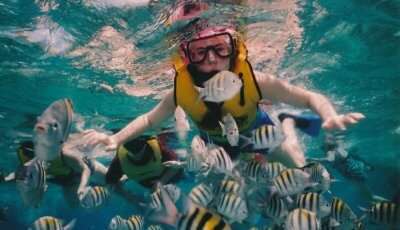 Best Spots For Snorkeling In Goa In Take Your Pick