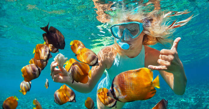 5 Best Spots For Snorkeling In Goa In 2023 Take Your Pick