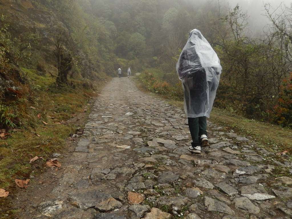 trek-to-singalila-national-park-sikkim
