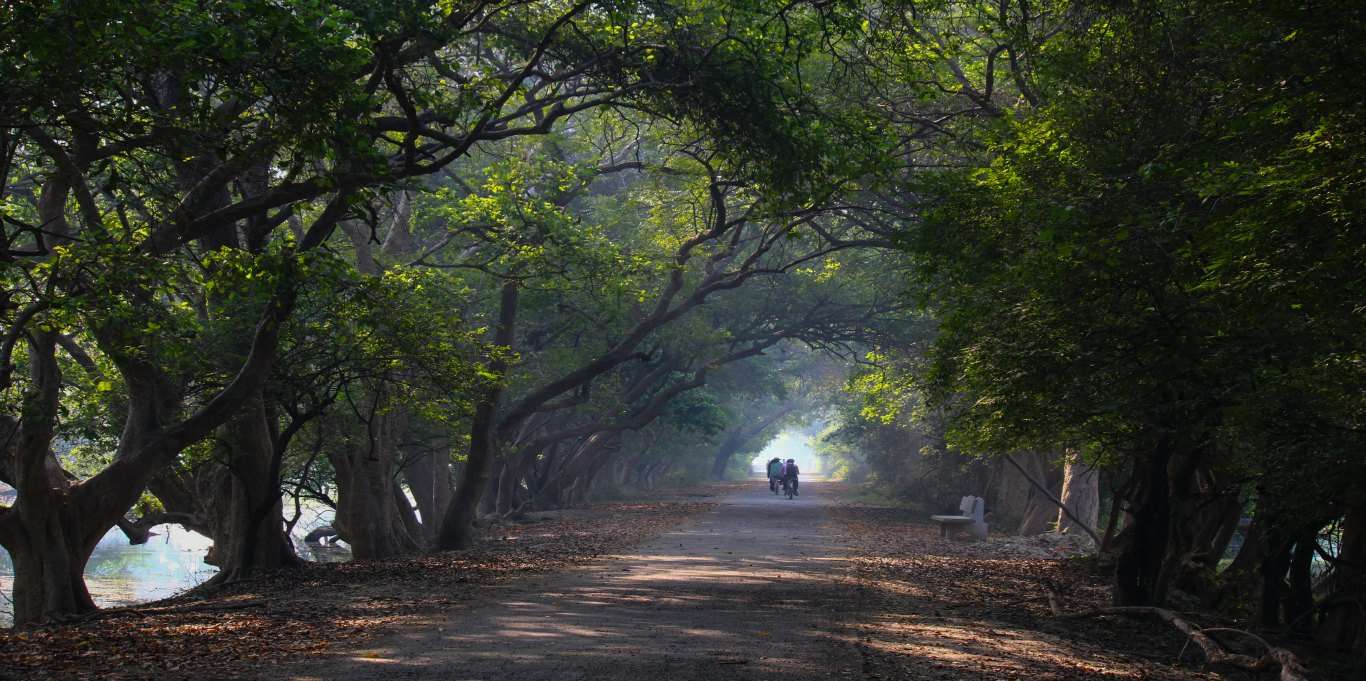 Bharatpur