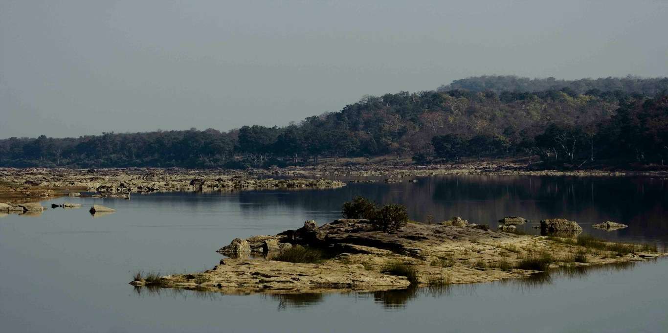 Dudhwa tiger reserve