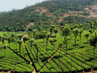 Coonoor