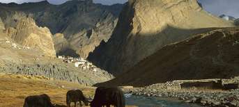 Ladakh