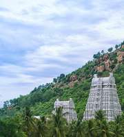 Book A Memorable Trip To Tiruvannamalai