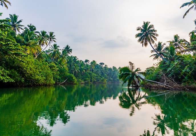 5 nights 6 days Kerala Tour Packages From Delhi - Delhi to Kerala 6 ...