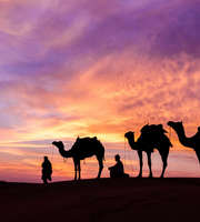 Sparkling Dubai: Desert Safari & Burj Khalifa Tour Package 