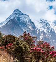 Adventurous Sikkim, Kalimpong & Darjeeling Tour Package 