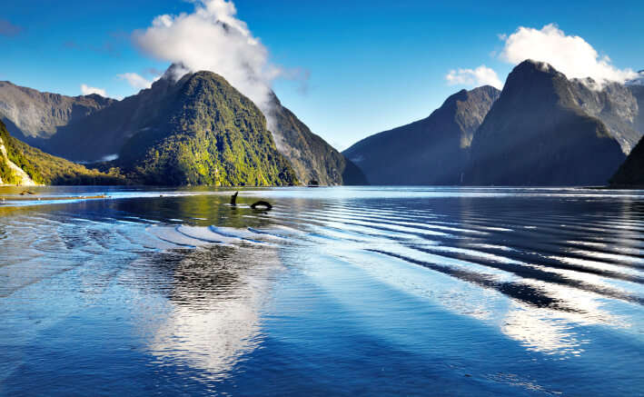 New Zealand 8 Days Tour Package With Flight