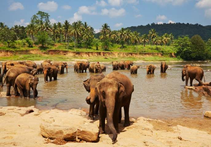 Sri Lanka Adventure Tour Package – Adventure Tour In Sri Lanka