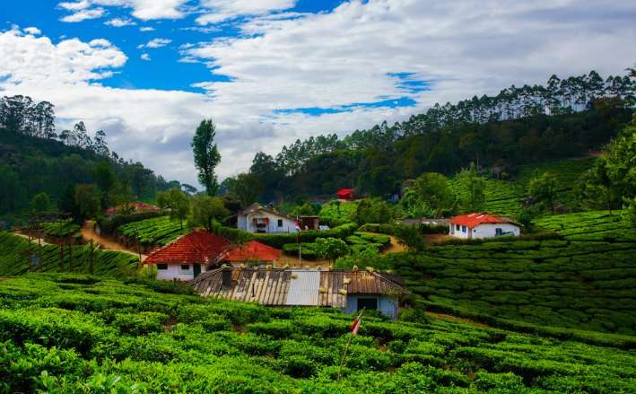 Pack Your Bags For An Incredible Trip To Kerala