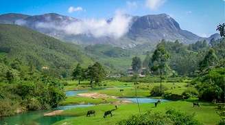  Scale new heights as you trek to the Anamudi Peak In Munnar