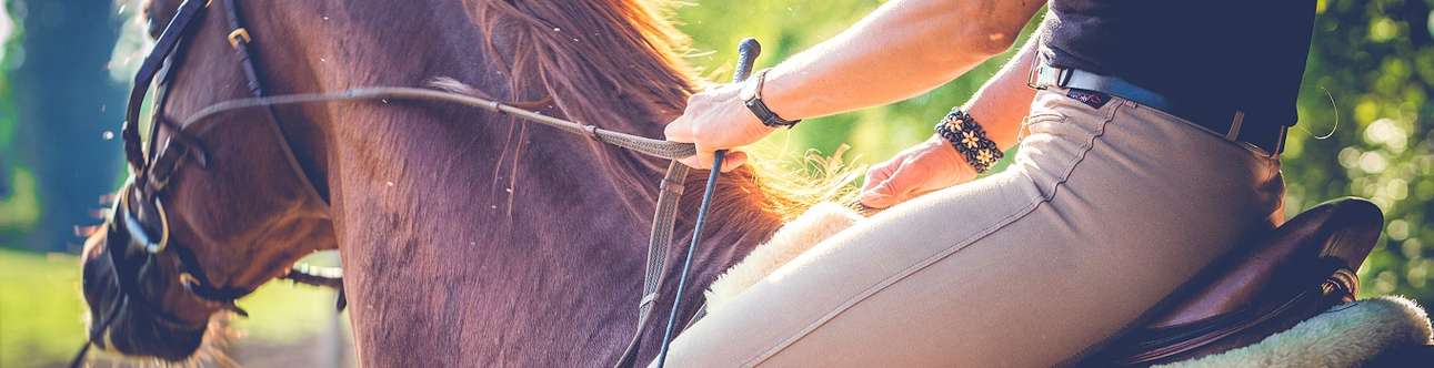 Horse riding in Dalhousie