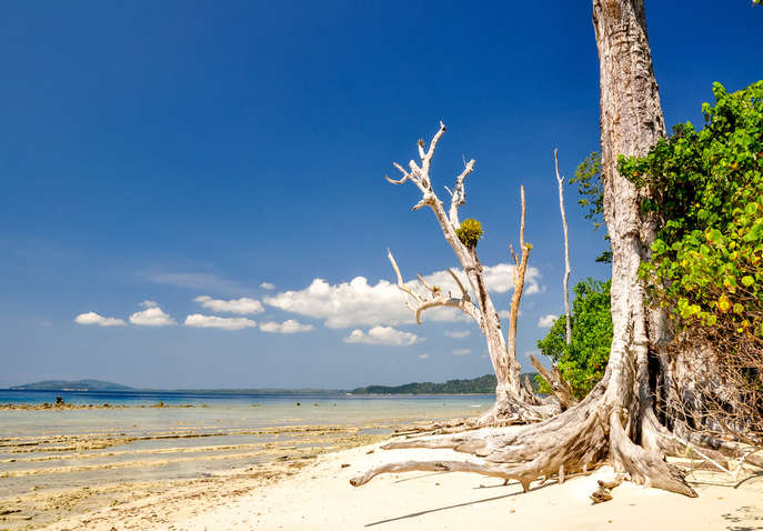 Amazing Andaman Package From Chennai