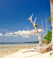 Port Blair 6 Days Package