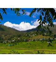 Refreshing Ranikhet Tour Package