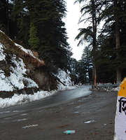 Shimla Manali Package From Surat