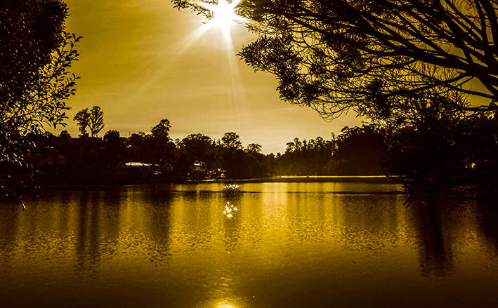 Panoramic Kodaikanal Family Tour