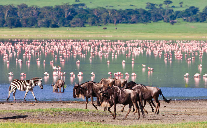 Amazing Tanzania Tour Package