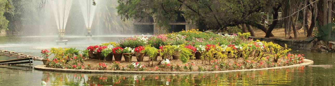 Lodhi Gardens In Delhi