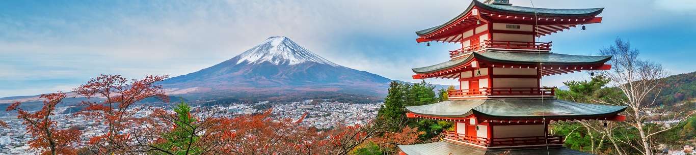 package tours japan