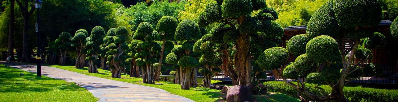 The beauty of Perdana Botanical Garden will bowl you over