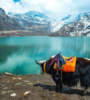 Sikkim Tour Package With Gurudongmar Lake