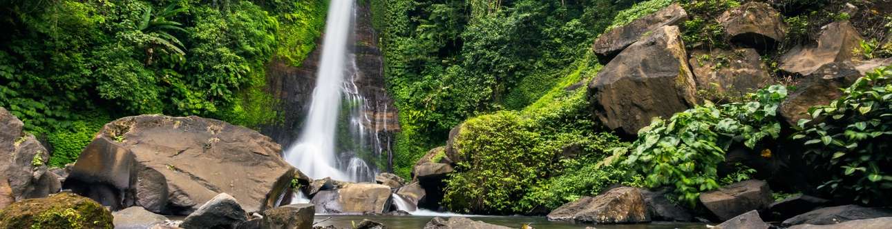 Visit the mesmerizing Gitgit Waterfall in Bali 