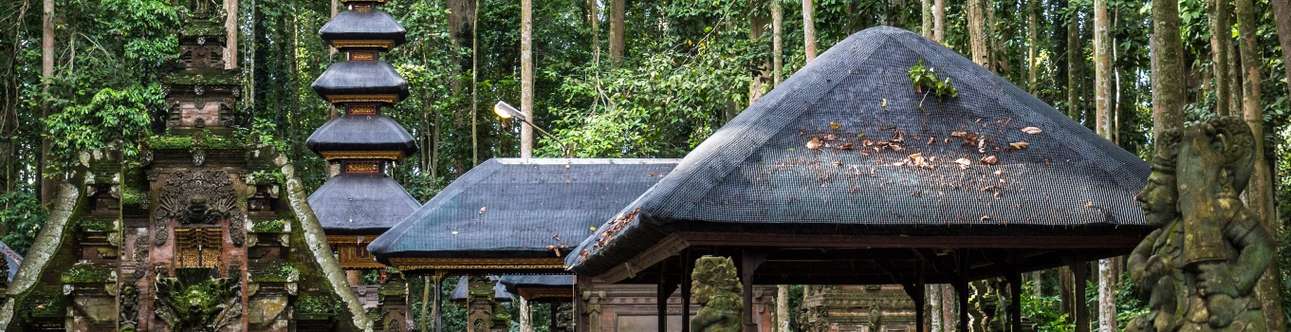 Visit the Sacred Monkey Forest Ubud in Bali 