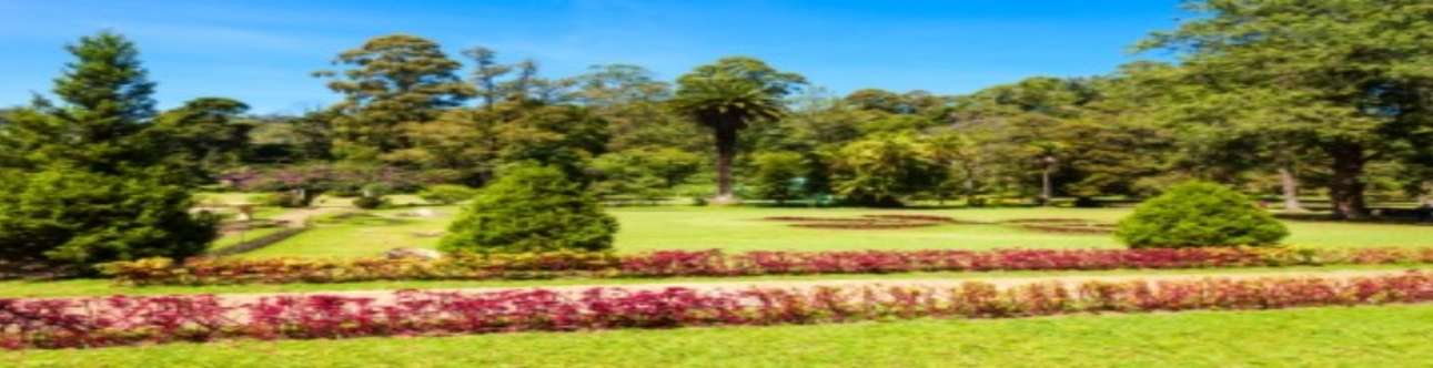 Visit the Beautiful Victoria Park in Nuwara Eliya 