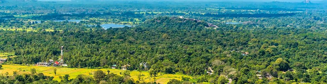 Welcome to beautiful Sigiriya City in Sri Lanka