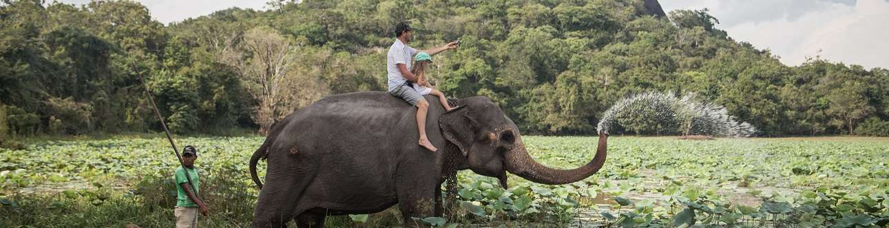 Elephant Back Ride in Sri Lanka