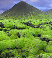 Iceland Tour Package From Kolkata