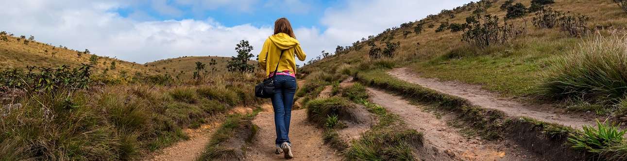 Do Hiking At Horton Plains National Park in Kandy