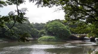Explore the Sanjay Gandhi National Park in Mumbai