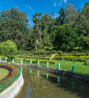 Rejuvenating Ooty Package From Chennai