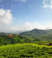 Ooty Package For 4 Days