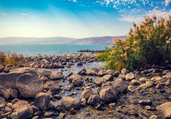 Seashore near Ein Eyov Waterfall in Tabgha, Sea of Galilee, Israel