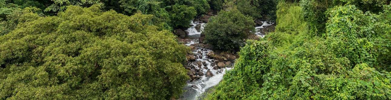 Thusharagiri Waterfall In Kozhikode