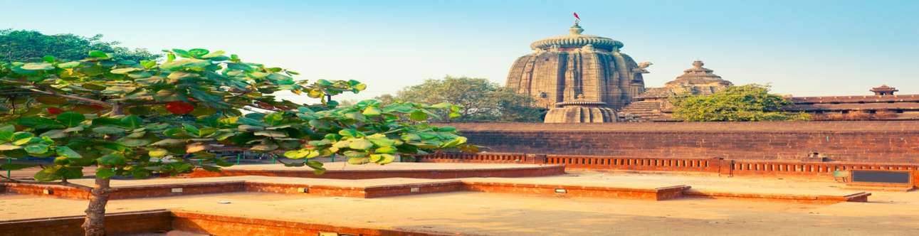Visit the amazing Lingaraj Temple
