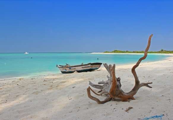 Boat parked on beach of tropical lakshadweep island