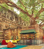 Gaya Tour Package From Varanasi