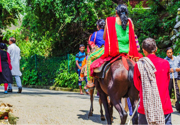Devotee on Pony/Pithu on way at Vaishno Devi