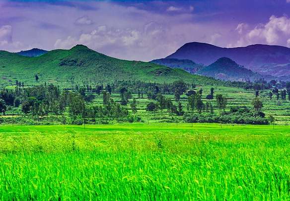 Beautiful Araku valley landscape in Andhra Pradesh
