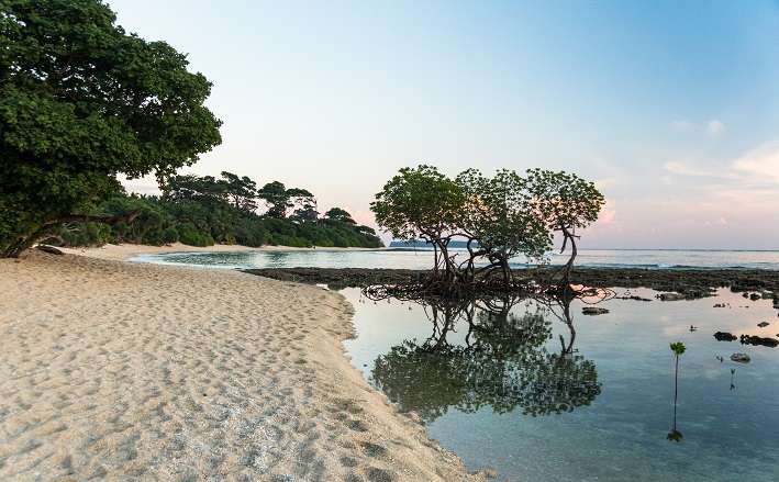 Divine Andaman Couple Tour Packages From Mumbai
