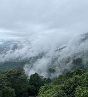 Book A Memorable Trip To Agumbe