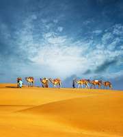 5 Days Dubai Package From Pune