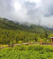 Bhutan Tour Packages For 7 Days From Kolkata