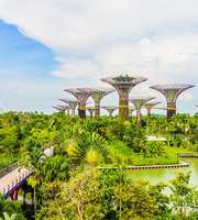 Book A Funfilled Trip To Singapore