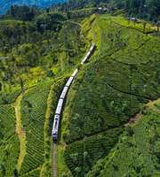 Book A Memorable Trip To Sri Lanka From Ahmedabad