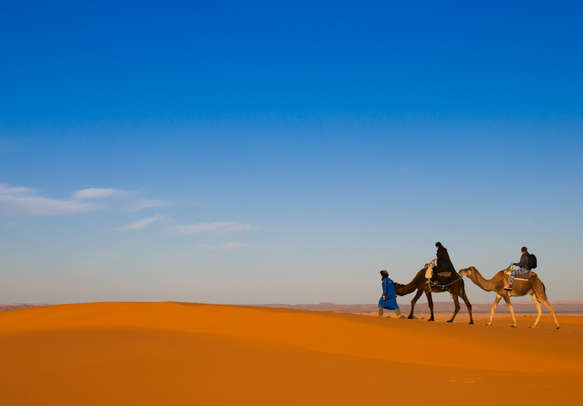 Go on a camel safari in the deserts of Dubai